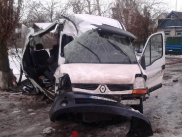 На Луганщині маршрутка врізалася в дерево: постраждали 10 людей