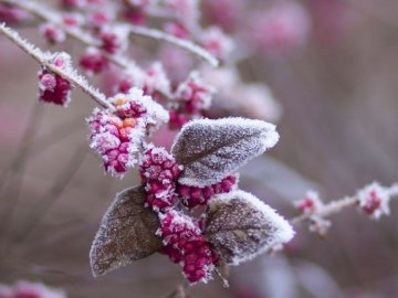 Температура впаде до -12: на вихідних в Україну прийде різке похолодання