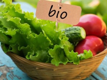 Ключові особливості виробництва органічних продуктів*