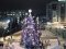 Новорічно-різдвяні свята у Луцьку: план заходів 