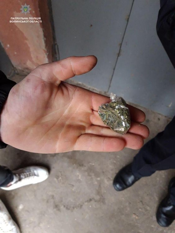 «Травичка» та шприц: у Луцьку затримали чоловіків з наркотиками. ФОТО