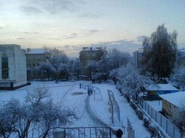 Перший сніг у Луцьку: реакція соцмереж. ФОТО