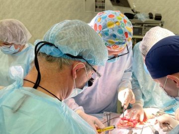 Усі трансплантації будуть безкоштовними: Зеленський підписав важливий закон щодо донорства органів