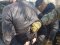 Теракти в Україні: СБУ затримала злочинців, які співпрацювали з російськими спецслужбами. ФОТО