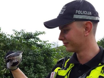 У Латвії інспектором муніципальної поліції працюватиме горобець
