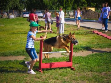 Лучани просять владу облаштувати майданчики для вигулу собак, що мали бути ще 7 років тому