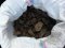 На Волині в багажнику «бехи» знайшли 20 кілограмів бурштину. ФОТО
