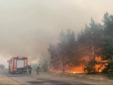 Пожежі на Луганщині гасили лише на папері: трьом працівникам ДСНС оголосили про підозру