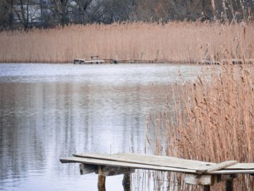  Неймовірні краєвиди на озері в селі Сереховичі. ФОТО