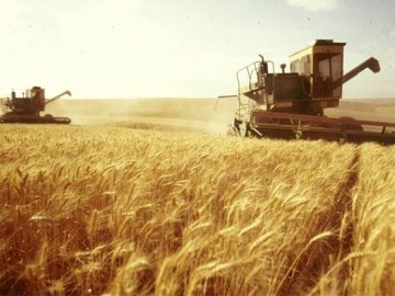 Україні виділять 26 млн євро на підтримку сільського господарства