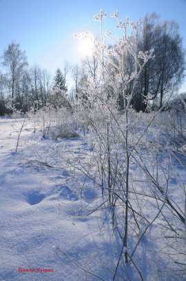 Казкова зима у луцькому парку. ФОТО