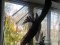 Наслідки негоди на Волині: гілка дерева вибила вікна у гуртожитку. ФОТО
