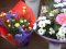 Тюльпани, котики, троянди: скільки володимирчани витратили на святкові букети