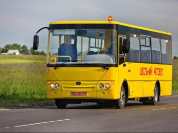 Житомирські школярі їздитимуть на новеньких автобусах з Луцька. ФОТО