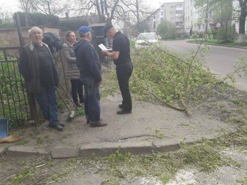 У Луцьку муніципали «спіймали» людей, які незаконно обрізали дерева 
