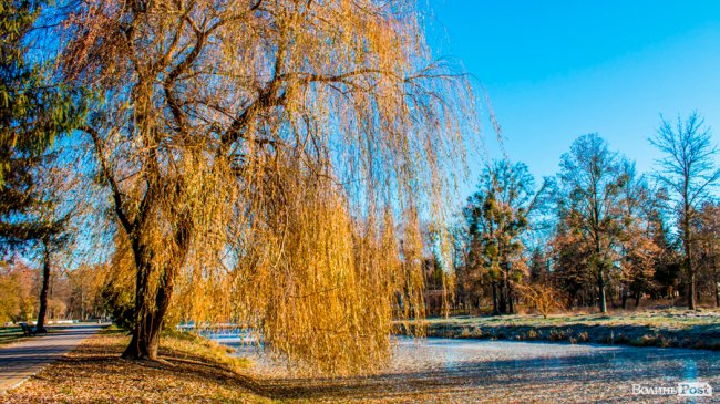 Луцьк в останній осінній день. ФОТОРЕПОРТАЖ
