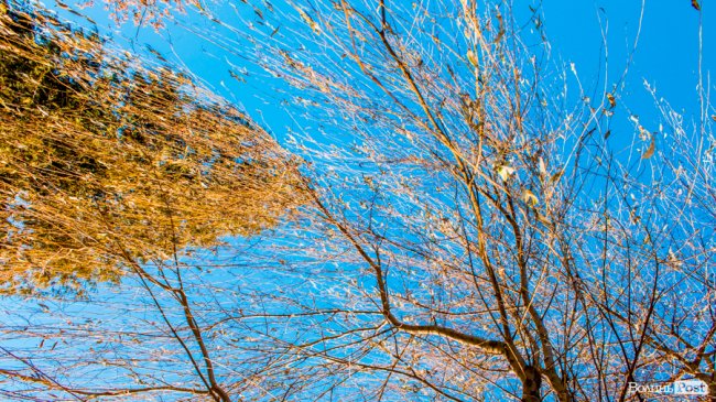 Луцьк в останній осінній день. ФОТОРЕПОРТАЖ