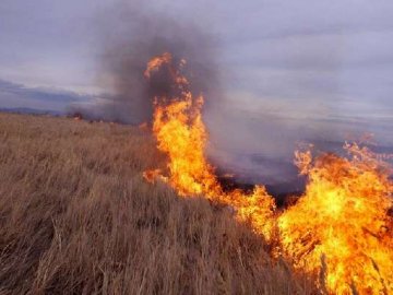 На Волині – масові пожежі сухої трави