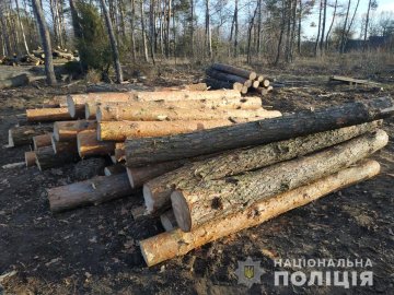 Викрадену деревину з Рівненщини знайшли на Волині