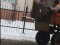 Комунальне ноу-хау в Луцьку: тротуар посипають на ходу з кузова трактора. ВІДЕО
