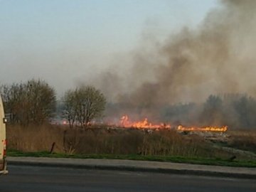 Чергова пожежа в Луцьку: спалахнула трава біля Стиру
