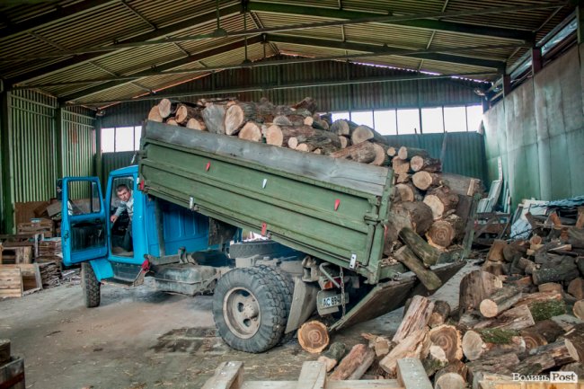 Тепло для чотирилапих: лісівники забезпечили дровами луцьку «Ласку». ФОТО