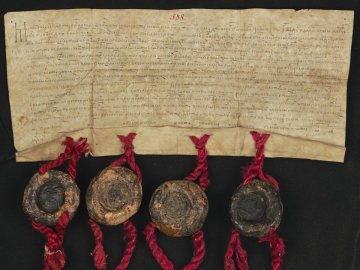 Документ 1504 року: як волинський князь продав село за 200 чеських коп і боброві кожухи