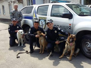 Можуть знайти 10 видів наркотиків: волинські поліцейські показали службових псів. ВІДЕО