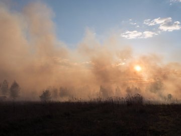 Велика пожежа поблизу Луцька: горять поля
