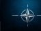НАТО хоче допомогти реформувати міліцію та збройні сили України