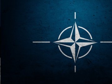 НАТО хоче допомогти реформувати міліцію та збройні сили України