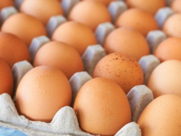 Експорт яєць у січні приніс Україні 10,5 мільйонів