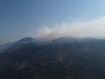 Масштабні пожежі у Чорногорії допомагають гасити українці