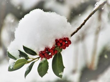Погода в Луцьку та Волинській області на четвер, 13 лютого