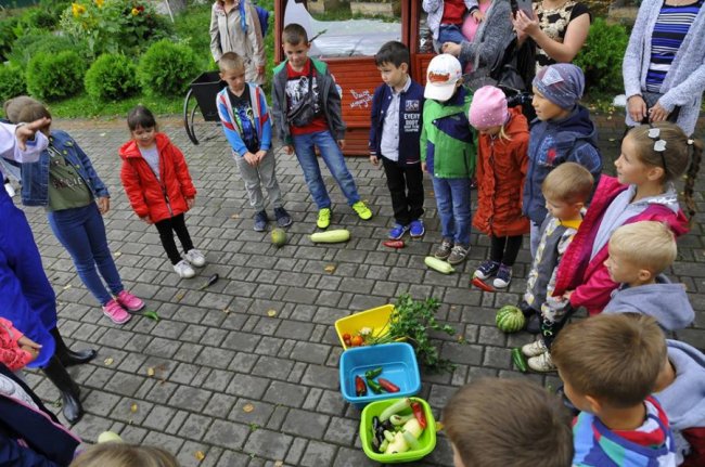 Кавуни, баклажани, перчики: у Луцькому зоопарку зібрали овочі, які садили діти. ФОТО