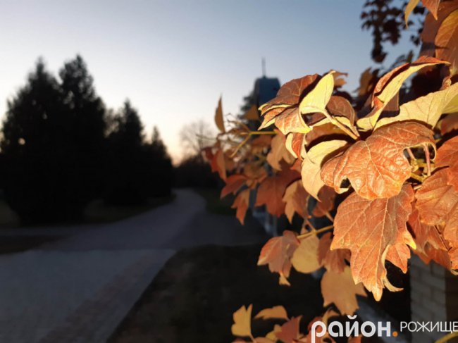 Місто на Волині восени: жовто-багряна краса. ФОТО