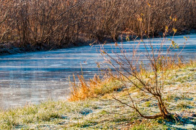 Луцьк в останній осінній день. ФОТОРЕПОРТАЖ