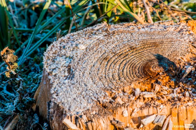 Луцьк в останній осінній день. ФОТОРЕПОРТАЖ