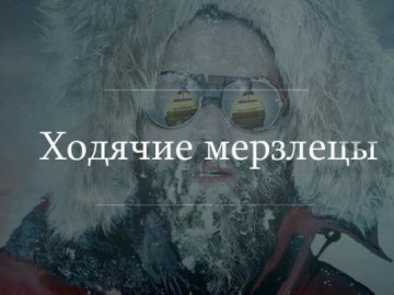 Українці відреагували на люті морози та ураганний вітер фотожабами