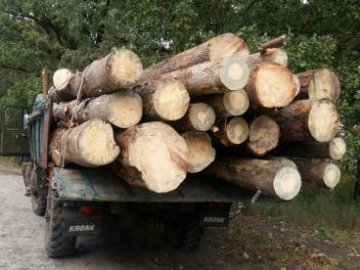 Волинські прикордонники затримали вантажівку з деревиною