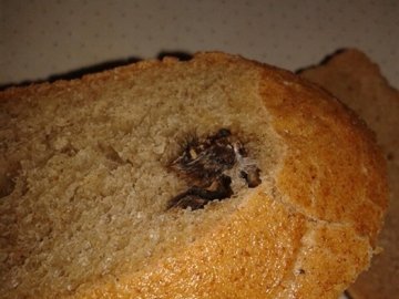 У Ковелі придбали хліб із головою миші. ФОТО