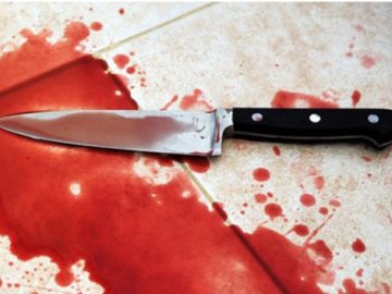 На Львівщині 13-річна дівчинка вбила ножем батька