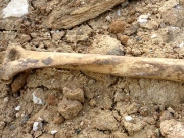 У селі на Волині знайшли людські кістки