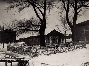 Зимові панорами Волині на столітніх фото