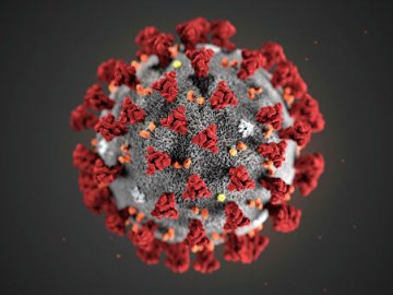 В Україні – 11 411 випадків коронавірусу, з них на Волині – 315: ситуація станом на ранок 2 травня