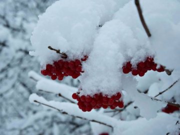 Погода в Луцьку та Волинській області на вівторок, 5 грудня