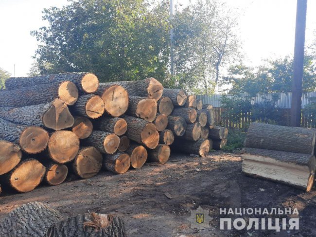 Одне з луцьких підприємств переробляло крадену деревину 