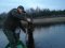 На волинському озері екоінспектори врятували птаха з браконьєрських сіток 