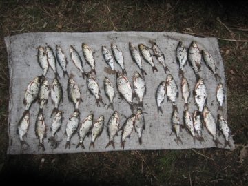 Протягом місяця на Волині викрили 93 порушення правил рибальства