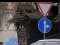 Людей обурили нові дорожні знаки у центрі Луцька 